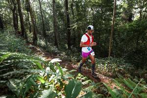 BIB: 
                            <button type="button" onclick="openModal(22544157)" class="btn btn-primary btn-sm float-right btn-popup" data-toggle="modal" data-target=".modal-high-quality">
                        <i class="fas fa-shopping-cart"></i> Add to Cart
                    </button>
                                            <button type="button" onclick="isThisMe(22544157, true)" class="btn btn-success btn-sm float-right btn-popup btn-isme hidden" data-toggle="tooltip" data-placement="bottom" title="นี่คือรูปของคุณใช่ไหม คลิกที่นี่เพื่อเอาเข้าอัลบั้ม">
                        <i class="fas fa-plus"></i> Add to album
                    </button>
                    <button type="button" onclick="isThisMe(22544157, false)" class="btn btn-warning btn-sm float-right btn-popup btn-isnotme hidden">
                        <i class="fas fa-ban"></i> Remove from album
                    </button>