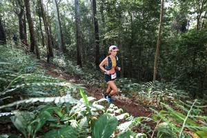 BIB: 
                            <button type="button" onclick="openModal(22543533)" class="btn btn-primary btn-sm float-right btn-popup" data-toggle="modal" data-target=".modal-high-quality">
                        <i class="fas fa-shopping-cart"></i> Add to Cart
                    </button>
                                            <button type="button" onclick="isThisMe(22543533, true)" class="btn btn-success btn-sm float-right btn-popup btn-isme hidden" data-toggle="tooltip" data-placement="bottom" title="นี่คือรูปของคุณใช่ไหม คลิกที่นี่เพื่อเอาเข้าอัลบั้ม">
                        <i class="fas fa-plus"></i> Add to album
                    </button>
                    <button type="button" onclick="isThisMe(22543533, false)" class="btn btn-warning btn-sm float-right btn-popup btn-isnotme hidden">
                        <i class="fas fa-ban"></i> Remove from album
                    </button>