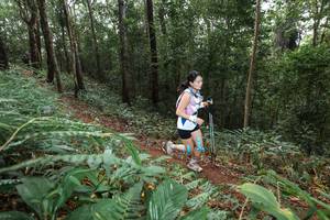 BIB: 
                            <button type="button" onclick="openModal(22543121)" class="btn btn-primary btn-sm float-right btn-popup" data-toggle="modal" data-target=".modal-high-quality">
                        <i class="fas fa-shopping-cart"></i> Add to Cart
                    </button>
                                            <button type="button" onclick="isThisMe(22543121, true)" class="btn btn-success btn-sm float-right btn-popup btn-isme hidden" data-toggle="tooltip" data-placement="bottom" title="นี่คือรูปของคุณใช่ไหม คลิกที่นี่เพื่อเอาเข้าอัลบั้ม">
                        <i class="fas fa-plus"></i> Add to album
                    </button>
                    <button type="button" onclick="isThisMe(22543121, false)" class="btn btn-warning btn-sm float-right btn-popup btn-isnotme hidden">
                        <i class="fas fa-ban"></i> Remove from album
                    </button>