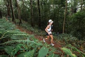 BIB: 
                            <button type="button" onclick="openModal(22532893)" class="btn btn-primary btn-sm float-right btn-popup" data-toggle="modal" data-target=".modal-high-quality">
                        <i class="fas fa-shopping-cart"></i> Add to Cart
                    </button>
                                            <button type="button" onclick="isThisMe(22532893, true)" class="btn btn-success btn-sm float-right btn-popup btn-isme hidden" data-toggle="tooltip" data-placement="bottom" title="นี่คือรูปของคุณใช่ไหม คลิกที่นี่เพื่อเอาเข้าอัลบั้ม">
                        <i class="fas fa-plus"></i> Add to album
                    </button>
                    <button type="button" onclick="isThisMe(22532893, false)" class="btn btn-warning btn-sm float-right btn-popup btn-isnotme hidden">
                        <i class="fas fa-ban"></i> Remove from album
                    </button>