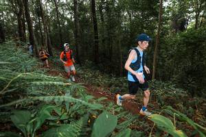 BIB: 
                            <button type="button" onclick="openModal(22536315)" class="btn btn-primary btn-sm float-right btn-popup" data-toggle="modal" data-target=".modal-high-quality">
                        <i class="fas fa-shopping-cart"></i> Add to Cart
                    </button>
                                            <button type="button" onclick="isThisMe(22536315, true)" class="btn btn-success btn-sm float-right btn-popup btn-isme hidden" data-toggle="tooltip" data-placement="bottom" title="นี่คือรูปของคุณใช่ไหม คลิกที่นี่เพื่อเอาเข้าอัลบั้ม">
                        <i class="fas fa-plus"></i> Add to album
                    </button>
                    <button type="button" onclick="isThisMe(22536315, false)" class="btn btn-warning btn-sm float-right btn-popup btn-isnotme hidden">
                        <i class="fas fa-ban"></i> Remove from album
                    </button>