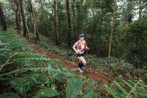 BIB: 
                            <button type="button" onclick="openModal(22573163)" class="btn btn-primary btn-sm float-right btn-popup" data-toggle="modal" data-target=".modal-high-quality">
                        <i class="fas fa-shopping-cart"></i> Add to Cart
                    </button>
                                            <button type="button" onclick="isThisMe(22573163, true)" class="btn btn-success btn-sm float-right btn-popup btn-isme hidden" data-toggle="tooltip" data-placement="bottom" title="นี่คือรูปของคุณใช่ไหม คลิกที่นี่เพื่อเอาเข้าอัลบั้ม">
                        <i class="fas fa-plus"></i> Add to album
                    </button>
                    <button type="button" onclick="isThisMe(22573163, false)" class="btn btn-warning btn-sm float-right btn-popup btn-isnotme hidden">
                        <i class="fas fa-ban"></i> Remove from album
                    </button>