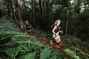 BIB: 
                            <button type="button" onclick="openModal(22538196)" class="btn btn-primary btn-sm float-right btn-popup" data-toggle="modal" data-target=".modal-high-quality">
                        <i class="fas fa-shopping-cart"></i> Add to Cart
                    </button>
                                            <button type="button" onclick="isThisMe(22538196, true)" class="btn btn-success btn-sm float-right btn-popup btn-isme hidden" data-toggle="tooltip" data-placement="bottom" title="นี่คือรูปของคุณใช่ไหม คลิกที่นี่เพื่อเอาเข้าอัลบั้ม">
                        <i class="fas fa-plus"></i> Add to album
                    </button>
                    <button type="button" onclick="isThisMe(22538196, false)" class="btn btn-warning btn-sm float-right btn-popup btn-isnotme hidden">
                        <i class="fas fa-ban"></i> Remove from album
                    </button>