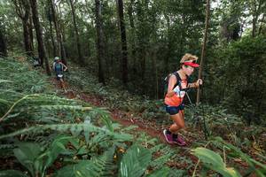 BIB: 
                            <button type="button" onclick="openModal(22542400)" class="btn btn-primary btn-sm float-right btn-popup" data-toggle="modal" data-target=".modal-high-quality">
                        <i class="fas fa-shopping-cart"></i> Add to Cart
                    </button>
                                            <button type="button" onclick="isThisMe(22542400, true)" class="btn btn-success btn-sm float-right btn-popup btn-isme hidden" data-toggle="tooltip" data-placement="bottom" title="นี่คือรูปของคุณใช่ไหม คลิกที่นี่เพื่อเอาเข้าอัลบั้ม">
                        <i class="fas fa-plus"></i> Add to album
                    </button>
                    <button type="button" onclick="isThisMe(22542400, false)" class="btn btn-warning btn-sm float-right btn-popup btn-isnotme hidden">
                        <i class="fas fa-ban"></i> Remove from album
                    </button>