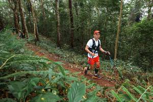 BIB: 
                            <button type="button" onclick="openModal(22584045)" class="btn btn-primary btn-sm float-right btn-popup" data-toggle="modal" data-target=".modal-high-quality">
                        <i class="fas fa-shopping-cart"></i> Add to Cart
                    </button>
                                            <button type="button" onclick="isThisMe(22584045, true)" class="btn btn-success btn-sm float-right btn-popup btn-isme hidden" data-toggle="tooltip" data-placement="bottom" title="นี่คือรูปของคุณใช่ไหม คลิกที่นี่เพื่อเอาเข้าอัลบั้ม">
                        <i class="fas fa-plus"></i> Add to album
                    </button>
                    <button type="button" onclick="isThisMe(22584045, false)" class="btn btn-warning btn-sm float-right btn-popup btn-isnotme hidden">
                        <i class="fas fa-ban"></i> Remove from album
                    </button>