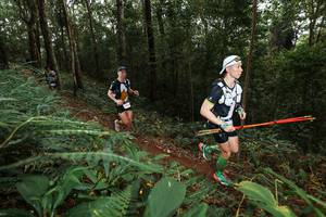 BIB: 
                            <button type="button" onclick="openModal(22533109)" class="btn btn-primary btn-sm float-right btn-popup" data-toggle="modal" data-target=".modal-high-quality">
                        <i class="fas fa-shopping-cart"></i> Add to Cart
                    </button>
                                            <button type="button" onclick="isThisMe(22533109, true)" class="btn btn-success btn-sm float-right btn-popup btn-isme hidden" data-toggle="tooltip" data-placement="bottom" title="นี่คือรูปของคุณใช่ไหม คลิกที่นี่เพื่อเอาเข้าอัลบั้ม">
                        <i class="fas fa-plus"></i> Add to album
                    </button>
                    <button type="button" onclick="isThisMe(22533109, false)" class="btn btn-warning btn-sm float-right btn-popup btn-isnotme hidden">
                        <i class="fas fa-ban"></i> Remove from album
                    </button>