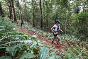 BIB: 
                            <button type="button" onclick="openModal(22567306)" class="btn btn-primary btn-sm float-right btn-popup" data-toggle="modal" data-target=".modal-high-quality">
                        <i class="fas fa-shopping-cart"></i> Add to Cart
                    </button>
                                            <button type="button" onclick="isThisMe(22567306, true)" class="btn btn-success btn-sm float-right btn-popup btn-isme hidden" data-toggle="tooltip" data-placement="bottom" title="นี่คือรูปของคุณใช่ไหม คลิกที่นี่เพื่อเอาเข้าอัลบั้ม">
                        <i class="fas fa-plus"></i> Add to album
                    </button>
                    <button type="button" onclick="isThisMe(22567306, false)" class="btn btn-warning btn-sm float-right btn-popup btn-isnotme hidden">
                        <i class="fas fa-ban"></i> Remove from album
                    </button>