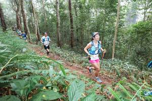 BIB: 
                            <button type="button" onclick="openModal(22574007)" class="btn btn-primary btn-sm float-right btn-popup" data-toggle="modal" data-target=".modal-high-quality">
                        <i class="fas fa-shopping-cart"></i> Add to Cart
                    </button>
                                            <button type="button" onclick="isThisMe(22574007, true)" class="btn btn-success btn-sm float-right btn-popup btn-isme hidden" data-toggle="tooltip" data-placement="bottom" title="นี่คือรูปของคุณใช่ไหม คลิกที่นี่เพื่อเอาเข้าอัลบั้ม">
                        <i class="fas fa-plus"></i> Add to album
                    </button>
                    <button type="button" onclick="isThisMe(22574007, false)" class="btn btn-warning btn-sm float-right btn-popup btn-isnotme hidden">
                        <i class="fas fa-ban"></i> Remove from album
                    </button>