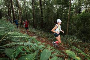 BIB: 
                            <button type="button" onclick="openModal(22537141)" class="btn btn-primary btn-sm float-right btn-popup" data-toggle="modal" data-target=".modal-high-quality">
                        <i class="fas fa-shopping-cart"></i> Add to Cart
                    </button>
                                            <button type="button" onclick="isThisMe(22537141, true)" class="btn btn-success btn-sm float-right btn-popup btn-isme hidden" data-toggle="tooltip" data-placement="bottom" title="นี่คือรูปของคุณใช่ไหม คลิกที่นี่เพื่อเอาเข้าอัลบั้ม">
                        <i class="fas fa-plus"></i> Add to album
                    </button>
                    <button type="button" onclick="isThisMe(22537141, false)" class="btn btn-warning btn-sm float-right btn-popup btn-isnotme hidden">
                        <i class="fas fa-ban"></i> Remove from album
                    </button>