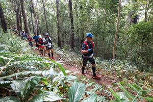 BIB: 
                            <button type="button" onclick="openModal(22565372)" class="btn btn-primary btn-sm float-right btn-popup" data-toggle="modal" data-target=".modal-high-quality">
                        <i class="fas fa-shopping-cart"></i> Add to Cart
                    </button>
                                            <button type="button" onclick="isThisMe(22565372, true)" class="btn btn-success btn-sm float-right btn-popup btn-isme hidden" data-toggle="tooltip" data-placement="bottom" title="นี่คือรูปของคุณใช่ไหม คลิกที่นี่เพื่อเอาเข้าอัลบั้ม">
                        <i class="fas fa-plus"></i> Add to album
                    </button>
                    <button type="button" onclick="isThisMe(22565372, false)" class="btn btn-warning btn-sm float-right btn-popup btn-isnotme hidden">
                        <i class="fas fa-ban"></i> Remove from album
                    </button>