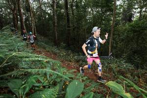 BIB: 
                            <button type="button" onclick="openModal(22538435)" class="btn btn-primary btn-sm float-right btn-popup" data-toggle="modal" data-target=".modal-high-quality">
                        <i class="fas fa-shopping-cart"></i> Add to Cart
                    </button>
                                            <button type="button" onclick="isThisMe(22538435, true)" class="btn btn-success btn-sm float-right btn-popup btn-isme hidden" data-toggle="tooltip" data-placement="bottom" title="นี่คือรูปของคุณใช่ไหม คลิกที่นี่เพื่อเอาเข้าอัลบั้ม">
                        <i class="fas fa-plus"></i> Add to album
                    </button>
                    <button type="button" onclick="isThisMe(22538435, false)" class="btn btn-warning btn-sm float-right btn-popup btn-isnotme hidden">
                        <i class="fas fa-ban"></i> Remove from album
                    </button>