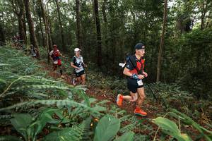 BIB: 
                            <button type="button" onclick="openModal(22537035)" class="btn btn-primary btn-sm float-right btn-popup" data-toggle="modal" data-target=".modal-high-quality">
                        <i class="fas fa-shopping-cart"></i> Add to Cart
                    </button>
                                            <button type="button" onclick="isThisMe(22537035, true)" class="btn btn-success btn-sm float-right btn-popup btn-isme hidden" data-toggle="tooltip" data-placement="bottom" title="นี่คือรูปของคุณใช่ไหม คลิกที่นี่เพื่อเอาเข้าอัลบั้ม">
                        <i class="fas fa-plus"></i> Add to album
                    </button>
                    <button type="button" onclick="isThisMe(22537035, false)" class="btn btn-warning btn-sm float-right btn-popup btn-isnotme hidden">
                        <i class="fas fa-ban"></i> Remove from album
                    </button>