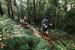 BIB: 
                            <button type="button" onclick="openModal(22546574)" class="btn btn-primary btn-sm float-right btn-popup" data-toggle="modal" data-target=".modal-high-quality">
                        <i class="fas fa-shopping-cart"></i> Add to Cart
                    </button>
                                            <button type="button" onclick="isThisMe(22546574, true)" class="btn btn-success btn-sm float-right btn-popup btn-isme hidden" data-toggle="tooltip" data-placement="bottom" title="นี่คือรูปของคุณใช่ไหม คลิกที่นี่เพื่อเอาเข้าอัลบั้ม">
                        <i class="fas fa-plus"></i> Add to album
                    </button>
                    <button type="button" onclick="isThisMe(22546574, false)" class="btn btn-warning btn-sm float-right btn-popup btn-isnotme hidden">
                        <i class="fas fa-ban"></i> Remove from album
                    </button>