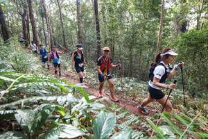 BIB: 
                            <button type="button" onclick="openModal(22565674)" class="btn btn-primary btn-sm float-right btn-popup" data-toggle="modal" data-target=".modal-high-quality">
                        <i class="fas fa-shopping-cart"></i> Add to Cart
                    </button>
                                            <button type="button" onclick="isThisMe(22565674, true)" class="btn btn-success btn-sm float-right btn-popup btn-isme hidden" data-toggle="tooltip" data-placement="bottom" title="นี่คือรูปของคุณใช่ไหม คลิกที่นี่เพื่อเอาเข้าอัลบั้ม">
                        <i class="fas fa-plus"></i> Add to album
                    </button>
                    <button type="button" onclick="isThisMe(22565674, false)" class="btn btn-warning btn-sm float-right btn-popup btn-isnotme hidden">
                        <i class="fas fa-ban"></i> Remove from album
                    </button>