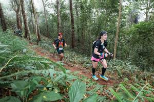 BIB: 
                            <button type="button" onclick="openModal(22573719)" class="btn btn-primary btn-sm float-right btn-popup" data-toggle="modal" data-target=".modal-high-quality">
                        <i class="fas fa-shopping-cart"></i> Add to Cart
                    </button>
                                            <button type="button" onclick="isThisMe(22573719, true)" class="btn btn-success btn-sm float-right btn-popup btn-isme hidden" data-toggle="tooltip" data-placement="bottom" title="นี่คือรูปของคุณใช่ไหม คลิกที่นี่เพื่อเอาเข้าอัลบั้ม">
                        <i class="fas fa-plus"></i> Add to album
                    </button>
                    <button type="button" onclick="isThisMe(22573719, false)" class="btn btn-warning btn-sm float-right btn-popup btn-isnotme hidden">
                        <i class="fas fa-ban"></i> Remove from album
                    </button>