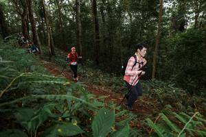 BIB: 
                            <button type="button" onclick="openModal(22582526)" class="btn btn-primary btn-sm float-right btn-popup" data-toggle="modal" data-target=".modal-high-quality">
                        <i class="fas fa-shopping-cart"></i> Add to Cart
                    </button>
                                            <button type="button" onclick="isThisMe(22582526, true)" class="btn btn-success btn-sm float-right btn-popup btn-isme hidden" data-toggle="tooltip" data-placement="bottom" title="นี่คือรูปของคุณใช่ไหม คลิกที่นี่เพื่อเอาเข้าอัลบั้ม">
                        <i class="fas fa-plus"></i> Add to album
                    </button>
                    <button type="button" onclick="isThisMe(22582526, false)" class="btn btn-warning btn-sm float-right btn-popup btn-isnotme hidden">
                        <i class="fas fa-ban"></i> Remove from album
                    </button>