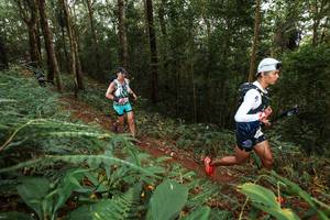 BIB: 
                            <button type="button" onclick="openModal(22533952)" class="btn btn-primary btn-sm float-right btn-popup" data-toggle="modal" data-target=".modal-high-quality">
                        <i class="fas fa-shopping-cart"></i> Add to Cart
                    </button>
                                            <button type="button" onclick="isThisMe(22533952, true)" class="btn btn-success btn-sm float-right btn-popup btn-isme hidden" data-toggle="tooltip" data-placement="bottom" title="นี่คือรูปของคุณใช่ไหม คลิกที่นี่เพื่อเอาเข้าอัลบั้ม">
                        <i class="fas fa-plus"></i> Add to album
                    </button>
                    <button type="button" onclick="isThisMe(22533952, false)" class="btn btn-warning btn-sm float-right btn-popup btn-isnotme hidden">
                        <i class="fas fa-ban"></i> Remove from album
                    </button>