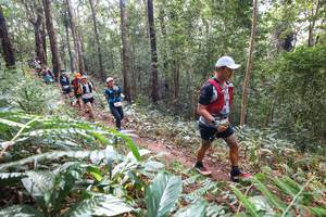 BIB: 
                            <button type="button" onclick="openModal(22565649)" class="btn btn-primary btn-sm float-right btn-popup" data-toggle="modal" data-target=".modal-high-quality">
                        <i class="fas fa-shopping-cart"></i> Add to Cart
                    </button>
                                            <button type="button" onclick="isThisMe(22565649, true)" class="btn btn-success btn-sm float-right btn-popup btn-isme hidden" data-toggle="tooltip" data-placement="bottom" title="นี่คือรูปของคุณใช่ไหม คลิกที่นี่เพื่อเอาเข้าอัลบั้ม">
                        <i class="fas fa-plus"></i> Add to album
                    </button>
                    <button type="button" onclick="isThisMe(22565649, false)" class="btn btn-warning btn-sm float-right btn-popup btn-isnotme hidden">
                        <i class="fas fa-ban"></i> Remove from album
                    </button>