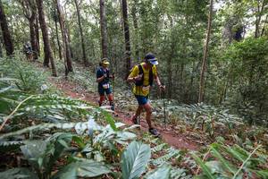 BIB: 
                            <button type="button" onclick="openModal(22565374)" class="btn btn-primary btn-sm float-right btn-popup" data-toggle="modal" data-target=".modal-high-quality">
                        <i class="fas fa-shopping-cart"></i> Add to Cart
                    </button>
                                            <button type="button" onclick="isThisMe(22565374, true)" class="btn btn-success btn-sm float-right btn-popup btn-isme hidden" data-toggle="tooltip" data-placement="bottom" title="นี่คือรูปของคุณใช่ไหม คลิกที่นี่เพื่อเอาเข้าอัลบั้ม">
                        <i class="fas fa-plus"></i> Add to album
                    </button>
                    <button type="button" onclick="isThisMe(22565374, false)" class="btn btn-warning btn-sm float-right btn-popup btn-isnotme hidden">
                        <i class="fas fa-ban"></i> Remove from album
                    </button>