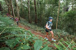 BIB: 
                            <button type="button" onclick="openModal(22581045)" class="btn btn-primary btn-sm float-right btn-popup" data-toggle="modal" data-target=".modal-high-quality">
                        <i class="fas fa-shopping-cart"></i> Add to Cart
                    </button>
                                            <button type="button" onclick="isThisMe(22581045, true)" class="btn btn-success btn-sm float-right btn-popup btn-isme hidden" data-toggle="tooltip" data-placement="bottom" title="นี่คือรูปของคุณใช่ไหม คลิกที่นี่เพื่อเอาเข้าอัลบั้ม">
                        <i class="fas fa-plus"></i> Add to album
                    </button>
                    <button type="button" onclick="isThisMe(22581045, false)" class="btn btn-warning btn-sm float-right btn-popup btn-isnotme hidden">
                        <i class="fas fa-ban"></i> Remove from album
                    </button>