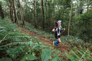 BIB: 
                            <button type="button" onclick="openModal(22580118)" class="btn btn-primary btn-sm float-right btn-popup" data-toggle="modal" data-target=".modal-high-quality">
                        <i class="fas fa-shopping-cart"></i> Add to Cart
                    </button>
                                            <button type="button" onclick="isThisMe(22580118, true)" class="btn btn-success btn-sm float-right btn-popup btn-isme hidden" data-toggle="tooltip" data-placement="bottom" title="นี่คือรูปของคุณใช่ไหม คลิกที่นี่เพื่อเอาเข้าอัลบั้ม">
                        <i class="fas fa-plus"></i> Add to album
                    </button>
                    <button type="button" onclick="isThisMe(22580118, false)" class="btn btn-warning btn-sm float-right btn-popup btn-isnotme hidden">
                        <i class="fas fa-ban"></i> Remove from album
                    </button>