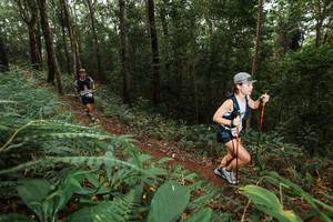 BIB: 
                            <button type="button" onclick="openModal(22533480)" class="btn btn-primary btn-sm float-right btn-popup" data-toggle="modal" data-target=".modal-high-quality">
                        <i class="fas fa-shopping-cart"></i> Add to Cart
                    </button>
                                            <button type="button" onclick="isThisMe(22533480, true)" class="btn btn-success btn-sm float-right btn-popup btn-isme hidden" data-toggle="tooltip" data-placement="bottom" title="นี่คือรูปของคุณใช่ไหม คลิกที่นี่เพื่อเอาเข้าอัลบั้ม">
                        <i class="fas fa-plus"></i> Add to album
                    </button>
                    <button type="button" onclick="isThisMe(22533480, false)" class="btn btn-warning btn-sm float-right btn-popup btn-isnotme hidden">
                        <i class="fas fa-ban"></i> Remove from album
                    </button>