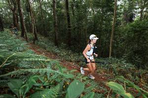 BIB: 
                            <button type="button" onclick="openModal(22532897)" class="btn btn-primary btn-sm float-right btn-popup" data-toggle="modal" data-target=".modal-high-quality">
                        <i class="fas fa-shopping-cart"></i> Add to Cart
                    </button>
                                            <button type="button" onclick="isThisMe(22532897, true)" class="btn btn-success btn-sm float-right btn-popup btn-isme hidden" data-toggle="tooltip" data-placement="bottom" title="นี่คือรูปของคุณใช่ไหม คลิกที่นี่เพื่อเอาเข้าอัลบั้ม">
                        <i class="fas fa-plus"></i> Add to album
                    </button>
                    <button type="button" onclick="isThisMe(22532897, false)" class="btn btn-warning btn-sm float-right btn-popup btn-isnotme hidden">
                        <i class="fas fa-ban"></i> Remove from album
                    </button>