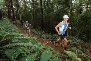 BIB: 
                            <button type="button" onclick="openModal(22533473)" class="btn btn-primary btn-sm float-right btn-popup" data-toggle="modal" data-target=".modal-high-quality">
                        <i class="fas fa-shopping-cart"></i> Add to Cart
                    </button>
                                            <button type="button" onclick="isThisMe(22533473, true)" class="btn btn-success btn-sm float-right btn-popup btn-isme hidden" data-toggle="tooltip" data-placement="bottom" title="นี่คือรูปของคุณใช่ไหม คลิกที่นี่เพื่อเอาเข้าอัลบั้ม">
                        <i class="fas fa-plus"></i> Add to album
                    </button>
                    <button type="button" onclick="isThisMe(22533473, false)" class="btn btn-warning btn-sm float-right btn-popup btn-isnotme hidden">
                        <i class="fas fa-ban"></i> Remove from album
                    </button>