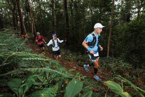 BIB: 
                            <button type="button" onclick="openModal(22533291)" class="btn btn-primary btn-sm float-right btn-popup" data-toggle="modal" data-target=".modal-high-quality">
                        <i class="fas fa-shopping-cart"></i> Add to Cart
                    </button>
                                            <button type="button" onclick="isThisMe(22533291, true)" class="btn btn-success btn-sm float-right btn-popup btn-isme hidden" data-toggle="tooltip" data-placement="bottom" title="นี่คือรูปของคุณใช่ไหม คลิกที่นี่เพื่อเอาเข้าอัลบั้ม">
                        <i class="fas fa-plus"></i> Add to album
                    </button>
                    <button type="button" onclick="isThisMe(22533291, false)" class="btn btn-warning btn-sm float-right btn-popup btn-isnotme hidden">
                        <i class="fas fa-ban"></i> Remove from album
                    </button>