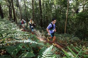 BIB: 
                            <button type="button" onclick="openModal(22546893)" class="btn btn-primary btn-sm float-right btn-popup" data-toggle="modal" data-target=".modal-high-quality">
                        <i class="fas fa-shopping-cart"></i> Add to Cart
                    </button>
                                            <button type="button" onclick="isThisMe(22546893, true)" class="btn btn-success btn-sm float-right btn-popup btn-isme hidden" data-toggle="tooltip" data-placement="bottom" title="นี่คือรูปของคุณใช่ไหม คลิกที่นี่เพื่อเอาเข้าอัลบั้ม">
                        <i class="fas fa-plus"></i> Add to album
                    </button>
                    <button type="button" onclick="isThisMe(22546893, false)" class="btn btn-warning btn-sm float-right btn-popup btn-isnotme hidden">
                        <i class="fas fa-ban"></i> Remove from album
                    </button>