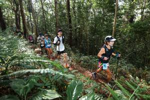 BIB: 204
                            <button type="button" onclick="openModal(22547276)" class="btn btn-primary btn-sm float-right btn-popup" data-toggle="modal" data-target=".modal-high-quality">
                        <i class="fas fa-shopping-cart"></i> Add to Cart
                    </button>
                                            <button type="button" onclick="isThisMe(22547276, true)" class="btn btn-success btn-sm float-right btn-popup btn-isme hidden" data-toggle="tooltip" data-placement="bottom" title="นี่คือรูปของคุณใช่ไหม คลิกที่นี่เพื่อเอาเข้าอัลบั้ม">
                        <i class="fas fa-plus"></i> Add to album
                    </button>
                    <button type="button" onclick="isThisMe(22547276, false)" class="btn btn-warning btn-sm float-right btn-popup btn-isnotme hidden">
                        <i class="fas fa-ban"></i> Remove from album
                    </button>