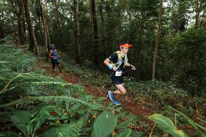 BIB: 
                            <button type="button" onclick="openModal(22534483)" class="btn btn-primary btn-sm float-right btn-popup" data-toggle="modal" data-target=".modal-high-quality">
                        <i class="fas fa-shopping-cart"></i> Add to Cart
                    </button>
                                            <button type="button" onclick="isThisMe(22534483, true)" class="btn btn-success btn-sm float-right btn-popup btn-isme hidden" data-toggle="tooltip" data-placement="bottom" title="นี่คือรูปของคุณใช่ไหม คลิกที่นี่เพื่อเอาเข้าอัลบั้ม">
                        <i class="fas fa-plus"></i> Add to album
                    </button>
                    <button type="button" onclick="isThisMe(22534483, false)" class="btn btn-warning btn-sm float-right btn-popup btn-isnotme hidden">
                        <i class="fas fa-ban"></i> Remove from album
                    </button>