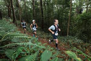 BIB: 
                            <button type="button" onclick="openModal(22532924)" class="btn btn-primary btn-sm float-right btn-popup" data-toggle="modal" data-target=".modal-high-quality">
                        <i class="fas fa-shopping-cart"></i> Add to Cart
                    </button>
                                            <button type="button" onclick="isThisMe(22532924, true)" class="btn btn-success btn-sm float-right btn-popup btn-isme hidden" data-toggle="tooltip" data-placement="bottom" title="นี่คือรูปของคุณใช่ไหม คลิกที่นี่เพื่อเอาเข้าอัลบั้ม">
                        <i class="fas fa-plus"></i> Add to album
                    </button>
                    <button type="button" onclick="isThisMe(22532924, false)" class="btn btn-warning btn-sm float-right btn-popup btn-isnotme hidden">
                        <i class="fas fa-ban"></i> Remove from album
                    </button>