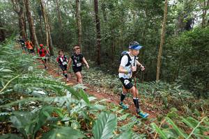 BIB: 
                            <button type="button" onclick="openModal(22583908)" class="btn btn-primary btn-sm float-right btn-popup" data-toggle="modal" data-target=".modal-high-quality">
                        <i class="fas fa-shopping-cart"></i> Add to Cart
                    </button>
                                            <button type="button" onclick="isThisMe(22583908, true)" class="btn btn-success btn-sm float-right btn-popup btn-isme hidden" data-toggle="tooltip" data-placement="bottom" title="นี่คือรูปของคุณใช่ไหม คลิกที่นี่เพื่อเอาเข้าอัลบั้ม">
                        <i class="fas fa-plus"></i> Add to album
                    </button>
                    <button type="button" onclick="isThisMe(22583908, false)" class="btn btn-warning btn-sm float-right btn-popup btn-isnotme hidden">
                        <i class="fas fa-ban"></i> Remove from album
                    </button>