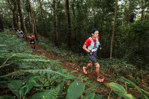 BIB: 
                            <button type="button" onclick="openModal(22533987)" class="btn btn-primary btn-sm float-right btn-popup" data-toggle="modal" data-target=".modal-high-quality">
                        <i class="fas fa-shopping-cart"></i> Add to Cart
                    </button>
                                            <button type="button" onclick="isThisMe(22533987, true)" class="btn btn-success btn-sm float-right btn-popup btn-isme hidden" data-toggle="tooltip" data-placement="bottom" title="นี่คือรูปของคุณใช่ไหม คลิกที่นี่เพื่อเอาเข้าอัลบั้ม">
                        <i class="fas fa-plus"></i> Add to album
                    </button>
                    <button type="button" onclick="isThisMe(22533987, false)" class="btn btn-warning btn-sm float-right btn-popup btn-isnotme hidden">
                        <i class="fas fa-ban"></i> Remove from album
                    </button>