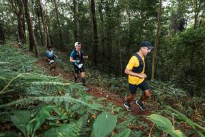 BIB: 
                            <button type="button" onclick="openModal(22535469)" class="btn btn-primary btn-sm float-right btn-popup" data-toggle="modal" data-target=".modal-high-quality">
                        <i class="fas fa-shopping-cart"></i> Add to Cart
                    </button>
                                            <button type="button" onclick="isThisMe(22535469, true)" class="btn btn-success btn-sm float-right btn-popup btn-isme hidden" data-toggle="tooltip" data-placement="bottom" title="นี่คือรูปของคุณใช่ไหม คลิกที่นี่เพื่อเอาเข้าอัลบั้ม">
                        <i class="fas fa-plus"></i> Add to album
                    </button>
                    <button type="button" onclick="isThisMe(22535469, false)" class="btn btn-warning btn-sm float-right btn-popup btn-isnotme hidden">
                        <i class="fas fa-ban"></i> Remove from album
                    </button>