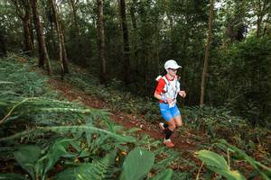 BIB: 
                            <button type="button" onclick="openModal(22533917)" class="btn btn-primary btn-sm float-right btn-popup" data-toggle="modal" data-target=".modal-high-quality">
                        <i class="fas fa-shopping-cart"></i> Add to Cart
                    </button>
                                            <button type="button" onclick="isThisMe(22533917, true)" class="btn btn-success btn-sm float-right btn-popup btn-isme hidden" data-toggle="tooltip" data-placement="bottom" title="นี่คือรูปของคุณใช่ไหม คลิกที่นี่เพื่อเอาเข้าอัลบั้ม">
                        <i class="fas fa-plus"></i> Add to album
                    </button>
                    <button type="button" onclick="isThisMe(22533917, false)" class="btn btn-warning btn-sm float-right btn-popup btn-isnotme hidden">
                        <i class="fas fa-ban"></i> Remove from album
                    </button>