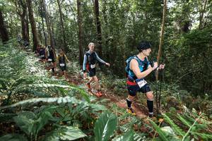 BIB: 
                            <button type="button" onclick="openModal(22547509)" class="btn btn-primary btn-sm float-right btn-popup" data-toggle="modal" data-target=".modal-high-quality">
                        <i class="fas fa-shopping-cart"></i> Add to Cart
                    </button>
                                            <button type="button" onclick="isThisMe(22547509, true)" class="btn btn-success btn-sm float-right btn-popup btn-isme hidden" data-toggle="tooltip" data-placement="bottom" title="นี่คือรูปของคุณใช่ไหม คลิกที่นี่เพื่อเอาเข้าอัลบั้ม">
                        <i class="fas fa-plus"></i> Add to album
                    </button>
                    <button type="button" onclick="isThisMe(22547509, false)" class="btn btn-warning btn-sm float-right btn-popup btn-isnotme hidden">
                        <i class="fas fa-ban"></i> Remove from album
                    </button>