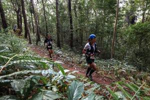 BIB: 
                            <button type="button" onclick="openModal(22564387)" class="btn btn-primary btn-sm float-right btn-popup" data-toggle="modal" data-target=".modal-high-quality">
                        <i class="fas fa-shopping-cart"></i> Add to Cart
                    </button>
                                            <button type="button" onclick="isThisMe(22564387, true)" class="btn btn-success btn-sm float-right btn-popup btn-isme hidden" data-toggle="tooltip" data-placement="bottom" title="นี่คือรูปของคุณใช่ไหม คลิกที่นี่เพื่อเอาเข้าอัลบั้ม">
                        <i class="fas fa-plus"></i> Add to album
                    </button>
                    <button type="button" onclick="isThisMe(22564387, false)" class="btn btn-warning btn-sm float-right btn-popup btn-isnotme hidden">
                        <i class="fas fa-ban"></i> Remove from album
                    </button>