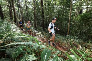 BIB: 
                            <button type="button" onclick="openModal(22561931)" class="btn btn-primary btn-sm float-right btn-popup" data-toggle="modal" data-target=".modal-high-quality">
                        <i class="fas fa-shopping-cart"></i> Add to Cart
                    </button>
                                            <button type="button" onclick="isThisMe(22561931, true)" class="btn btn-success btn-sm float-right btn-popup btn-isme hidden" data-toggle="tooltip" data-placement="bottom" title="นี่คือรูปของคุณใช่ไหม คลิกที่นี่เพื่อเอาเข้าอัลบั้ม">
                        <i class="fas fa-plus"></i> Add to album
                    </button>
                    <button type="button" onclick="isThisMe(22561931, false)" class="btn btn-warning btn-sm float-right btn-popup btn-isnotme hidden">
                        <i class="fas fa-ban"></i> Remove from album
                    </button>