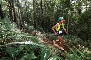 BIB: 
                            <button type="button" onclick="openModal(22547095)" class="btn btn-primary btn-sm float-right btn-popup" data-toggle="modal" data-target=".modal-high-quality">
                        <i class="fas fa-shopping-cart"></i> Add to Cart
                    </button>
                                            <button type="button" onclick="isThisMe(22547095, true)" class="btn btn-success btn-sm float-right btn-popup btn-isme hidden" data-toggle="tooltip" data-placement="bottom" title="นี่คือรูปของคุณใช่ไหม คลิกที่นี่เพื่อเอาเข้าอัลบั้ม">
                        <i class="fas fa-plus"></i> Add to album
                    </button>
                    <button type="button" onclick="isThisMe(22547095, false)" class="btn btn-warning btn-sm float-right btn-popup btn-isnotme hidden">
                        <i class="fas fa-ban"></i> Remove from album
                    </button>