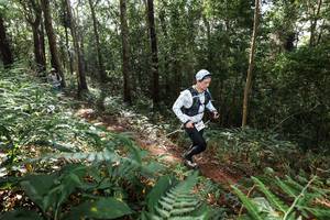 BIB: 
                            <button type="button" onclick="openModal(22546616)" class="btn btn-primary btn-sm float-right btn-popup" data-toggle="modal" data-target=".modal-high-quality">
                        <i class="fas fa-shopping-cart"></i> Add to Cart
                    </button>
                                            <button type="button" onclick="isThisMe(22546616, true)" class="btn btn-success btn-sm float-right btn-popup btn-isme hidden" data-toggle="tooltip" data-placement="bottom" title="นี่คือรูปของคุณใช่ไหม คลิกที่นี่เพื่อเอาเข้าอัลบั้ม">
                        <i class="fas fa-plus"></i> Add to album
                    </button>
                    <button type="button" onclick="isThisMe(22546616, false)" class="btn btn-warning btn-sm float-right btn-popup btn-isnotme hidden">
                        <i class="fas fa-ban"></i> Remove from album
                    </button>