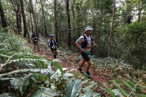 BIB: 
                            <button type="button" onclick="openModal(22564357)" class="btn btn-primary btn-sm float-right btn-popup" data-toggle="modal" data-target=".modal-high-quality">
                        <i class="fas fa-shopping-cart"></i> Add to Cart
                    </button>
                                            <button type="button" onclick="isThisMe(22564357, true)" class="btn btn-success btn-sm float-right btn-popup btn-isme hidden" data-toggle="tooltip" data-placement="bottom" title="นี่คือรูปของคุณใช่ไหม คลิกที่นี่เพื่อเอาเข้าอัลบั้ม">
                        <i class="fas fa-plus"></i> Add to album
                    </button>
                    <button type="button" onclick="isThisMe(22564357, false)" class="btn btn-warning btn-sm float-right btn-popup btn-isnotme hidden">
                        <i class="fas fa-ban"></i> Remove from album
                    </button>