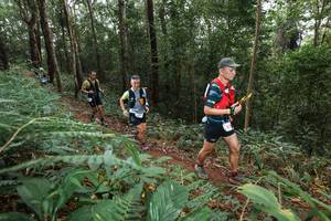 BIB: 
                            <button type="button" onclick="openModal(22543031)" class="btn btn-primary btn-sm float-right btn-popup" data-toggle="modal" data-target=".modal-high-quality">
                        <i class="fas fa-shopping-cart"></i> Add to Cart
                    </button>
                                            <button type="button" onclick="isThisMe(22543031, true)" class="btn btn-success btn-sm float-right btn-popup btn-isme hidden" data-toggle="tooltip" data-placement="bottom" title="นี่คือรูปของคุณใช่ไหม คลิกที่นี่เพื่อเอาเข้าอัลบั้ม">
                        <i class="fas fa-plus"></i> Add to album
                    </button>
                    <button type="button" onclick="isThisMe(22543031, false)" class="btn btn-warning btn-sm float-right btn-popup btn-isnotme hidden">
                        <i class="fas fa-ban"></i> Remove from album
                    </button>