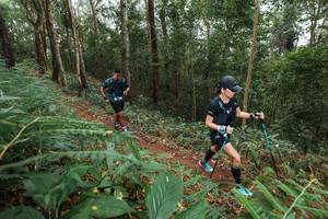 BIB: 
                            <button type="button" onclick="openModal(22573500)" class="btn btn-primary btn-sm float-right btn-popup" data-toggle="modal" data-target=".modal-high-quality">
                        <i class="fas fa-shopping-cart"></i> Add to Cart
                    </button>
                                            <button type="button" onclick="isThisMe(22573500, true)" class="btn btn-success btn-sm float-right btn-popup btn-isme hidden" data-toggle="tooltip" data-placement="bottom" title="นี่คือรูปของคุณใช่ไหม คลิกที่นี่เพื่อเอาเข้าอัลบั้ม">
                        <i class="fas fa-plus"></i> Add to album
                    </button>
                    <button type="button" onclick="isThisMe(22573500, false)" class="btn btn-warning btn-sm float-right btn-popup btn-isnotme hidden">
                        <i class="fas fa-ban"></i> Remove from album
                    </button>