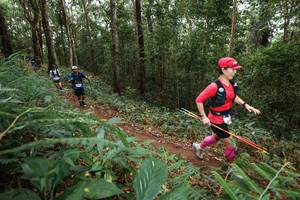 BIB: 
                            <button type="button" onclick="openModal(22568378)" class="btn btn-primary btn-sm float-right btn-popup" data-toggle="modal" data-target=".modal-high-quality">
                        <i class="fas fa-shopping-cart"></i> Add to Cart
                    </button>
                                            <button type="button" onclick="isThisMe(22568378, true)" class="btn btn-success btn-sm float-right btn-popup btn-isme hidden" data-toggle="tooltip" data-placement="bottom" title="นี่คือรูปของคุณใช่ไหม คลิกที่นี่เพื่อเอาเข้าอัลบั้ม">
                        <i class="fas fa-plus"></i> Add to album
                    </button>
                    <button type="button" onclick="isThisMe(22568378, false)" class="btn btn-warning btn-sm float-right btn-popup btn-isnotme hidden">
                        <i class="fas fa-ban"></i> Remove from album
                    </button>