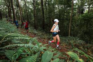 BIB: 
                            <button type="button" onclick="openModal(22537142)" class="btn btn-primary btn-sm float-right btn-popup" data-toggle="modal" data-target=".modal-high-quality">
                        <i class="fas fa-shopping-cart"></i> Add to Cart
                    </button>
                                            <button type="button" onclick="isThisMe(22537142, true)" class="btn btn-success btn-sm float-right btn-popup btn-isme hidden" data-toggle="tooltip" data-placement="bottom" title="นี่คือรูปของคุณใช่ไหม คลิกที่นี่เพื่อเอาเข้าอัลบั้ม">
                        <i class="fas fa-plus"></i> Add to album
                    </button>
                    <button type="button" onclick="isThisMe(22537142, false)" class="btn btn-warning btn-sm float-right btn-popup btn-isnotme hidden">
                        <i class="fas fa-ban"></i> Remove from album
                    </button>