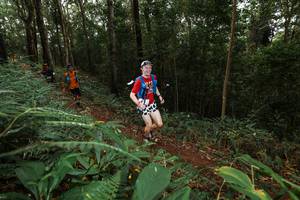 BIB: 
                            <button type="button" onclick="openModal(22533554)" class="btn btn-primary btn-sm float-right btn-popup" data-toggle="modal" data-target=".modal-high-quality">
                        <i class="fas fa-shopping-cart"></i> Add to Cart
                    </button>
                                            <button type="button" onclick="isThisMe(22533554, true)" class="btn btn-success btn-sm float-right btn-popup btn-isme hidden" data-toggle="tooltip" data-placement="bottom" title="นี่คือรูปของคุณใช่ไหม คลิกที่นี่เพื่อเอาเข้าอัลบั้ม">
                        <i class="fas fa-plus"></i> Add to album
                    </button>
                    <button type="button" onclick="isThisMe(22533554, false)" class="btn btn-warning btn-sm float-right btn-popup btn-isnotme hidden">
                        <i class="fas fa-ban"></i> Remove from album
                    </button>