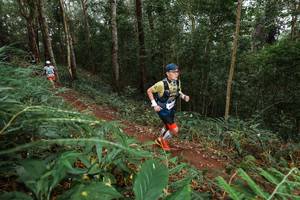 BIB: 
                            <button type="button" onclick="openModal(22583365)" class="btn btn-primary btn-sm float-right btn-popup" data-toggle="modal" data-target=".modal-high-quality">
                        <i class="fas fa-shopping-cart"></i> Add to Cart
                    </button>
                                            <button type="button" onclick="isThisMe(22583365, true)" class="btn btn-success btn-sm float-right btn-popup btn-isme hidden" data-toggle="tooltip" data-placement="bottom" title="นี่คือรูปของคุณใช่ไหม คลิกที่นี่เพื่อเอาเข้าอัลบั้ม">
                        <i class="fas fa-plus"></i> Add to album
                    </button>
                    <button type="button" onclick="isThisMe(22583365, false)" class="btn btn-warning btn-sm float-right btn-popup btn-isnotme hidden">
                        <i class="fas fa-ban"></i> Remove from album
                    </button>