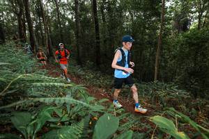 BIB: 
                            <button type="button" onclick="openModal(22536308)" class="btn btn-primary btn-sm float-right btn-popup" data-toggle="modal" data-target=".modal-high-quality">
                        <i class="fas fa-shopping-cart"></i> Add to Cart
                    </button>
                                            <button type="button" onclick="isThisMe(22536308, true)" class="btn btn-success btn-sm float-right btn-popup btn-isme hidden" data-toggle="tooltip" data-placement="bottom" title="นี่คือรูปของคุณใช่ไหม คลิกที่นี่เพื่อเอาเข้าอัลบั้ม">
                        <i class="fas fa-plus"></i> Add to album
                    </button>
                    <button type="button" onclick="isThisMe(22536308, false)" class="btn btn-warning btn-sm float-right btn-popup btn-isnotme hidden">
                        <i class="fas fa-ban"></i> Remove from album
                    </button>